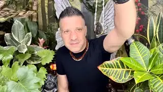 THE POWER OF BLUE TIGER'S EYE | Healing Crystals By Sasha Bonasin
