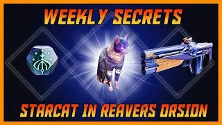 Destiny 2 Where's The Starcat? Week 4 Reaver's Orison