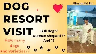 SSS - Friday Fun/Fitness Festival - A Dogs Paradise That Most Of Us Are Not Aware Of 🦮🐕🐈