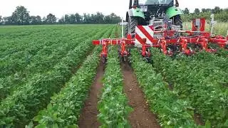 DynaTrac Premium in row crop cultivation of quinoa !