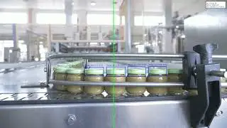 Industrial Jar Detection and Counting System Using YOLO for Production Line Monitoring