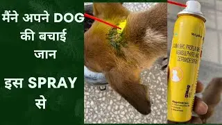 D mag - dog k ghaav bharne ki dwa