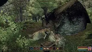 Gothic 3 EE Part 20(Talking tactics, killing trolls, gargoyles and undead...again)