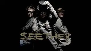 Seether-Never Leave