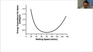 Let's Talk About Gait & Symmetry