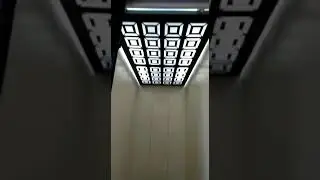 Apex Lift with Manual Collapsible doors