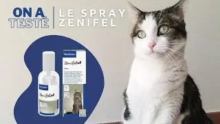 Moumoune a test&eacute; le Spray anti-stress Zenifel pour chat
