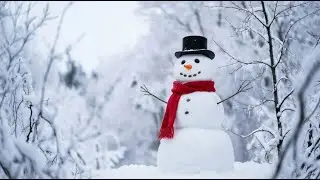 Are you snowed in?