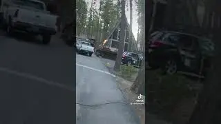 Police use rope to remove bear from car #shorts