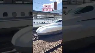 NOZOMI 16 car Bullet Train at Full Speed! 🚄⚡️ #shinkansen #bullettrains