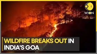 WILDFIRE continues to RAGE in India's Goa | WION Climate Tracker