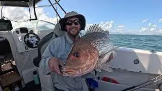 ADVENTURESQUIRES FAMILY EDITION - FAMILY CRUISE - SPOT OF FISHING