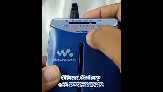 Walkman SONY WM-GX100