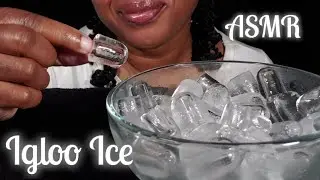 ASMR IGLOO ICE|SATISFYING ICE EATING #얼음|NO TALKING