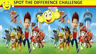 paw patrol/find the difference/spot the difference/picture puzzle challenge game