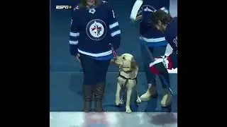 🚨 WE GOT A DOG PUCK DROP 🚨