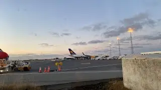 Live At Keflavik Airport Iceland