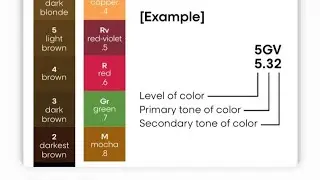 Hair colour class 🌈💁&zwj;♀️...#haircolor #hairstyle #haircolour #basic #basictoadvancetrading 