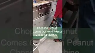 04 Chopped Peanut Comes Out From Peanut Chopping Machine