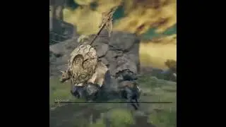 Jousting with the Tree Sentinel #eldenring #limgrave #torrent #treesentinel #halberd #eldenringboss