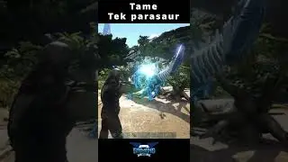 Tame Tek Parasaur