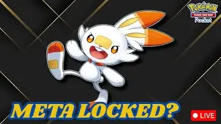 Is the Meta decided? | Pokemon Pocket