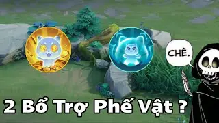 2 Món Bổ Trợ Này Là Phế Vật ?