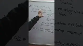 Control & Coordination | Nervous System, Hormones & Reflex Action | Class 10 Science