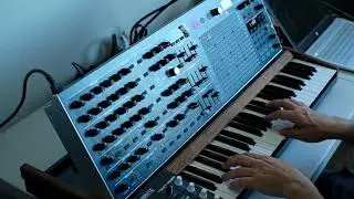 Arturia MatrixBrute Polyphony