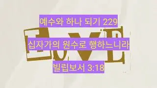 십자가의 원수로 행하느니라 (빌립보서 3:18) 229