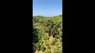 Авсаллар, комплекс  Stay Forest Park, 8 этаж, виды из окон завораживают