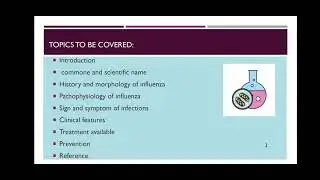 Microbial Infection - Haemophilia influenzae