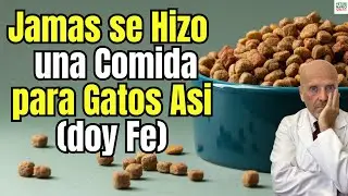 💥 ESTA COMIDA PARA GATOS EVITA LA ALERGIA A LOS GATOS EN HUMANOS 💥