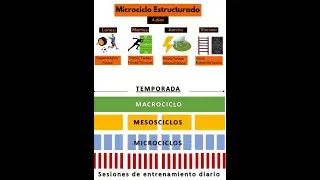 Metodolog&iacute;a del Entrenamiento de Bompa