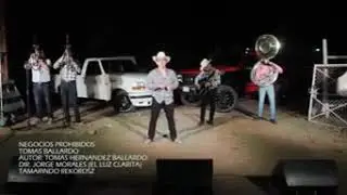 Negocios Prohibido Tomás Ballardo
