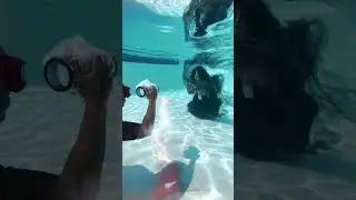 Underwater photography inspiration...