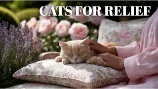 Cats and Soft Jazz 🌟 Ambient Music for Stress Relief and Deep Rest