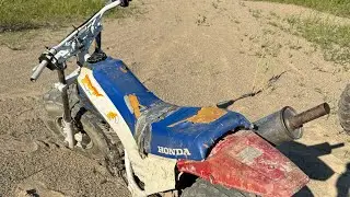 We bought a Honda fat cat