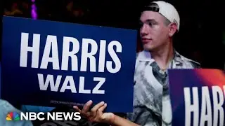 Democrats test new strategies to win over young male voters