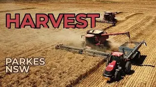 RECORD WHEAT BARLEY & CANOLA HARVEST AUSTRALIA | Huge yields, Case IH and chaser bin action
