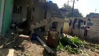 Cleaning up my backyard 
