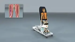 Erigo Animation : Robotic Movement Therapy for early Mobilization