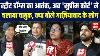 Supreme Court On Street Dogs: Supreme Court ने डॉग्स फीडर और राज्यों को लगाई फटकार | Ground Report