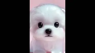 말티즈 슬라임 다가온다 🐶 | Maltese Slime Coming Closer #cute #키즈애니메이션 #키즈영상