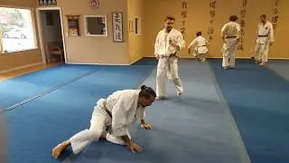 Jujitsu Throwing Exchange | Jukido Jujitsu