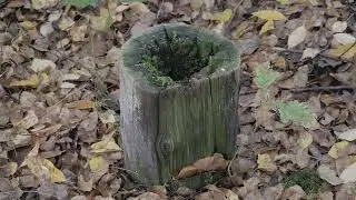 Jaworzno- Upadowa Jerzy II