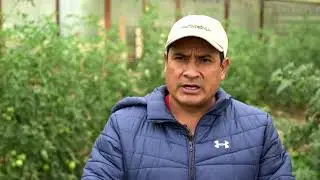 PRODUCTORES AGROECOLÓGICOS DE QUILLACOLLO