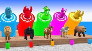Colorful Animal Race! 🦁🐘🦍 Lion vs. Elephant vs. Gorilla Challenge! 🌈✨