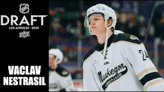 2025 NHL Draft : Vaclav Nestrasil - 24-25 Highlights