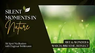 Blissed by Nature Sit Spot | Awe & Wonder Week 6